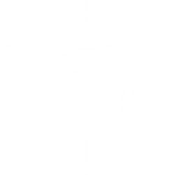Quantenheilung